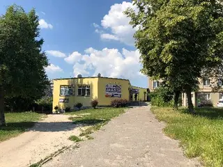 "Сінево / Synevo / Синэво" — фото 2