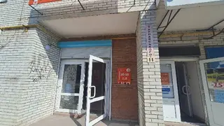 Файний грумінг — фото 4