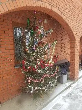 Приватна садиба Затишок в Карпатах — фото 3