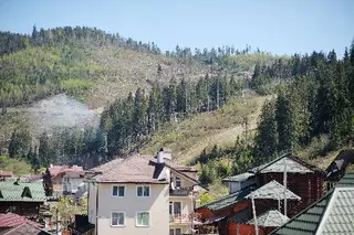 Гірська палітра — фото