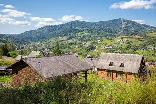 Лісовий затишок — фото