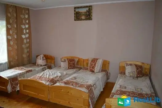 ГІРСЬКІ БАРВИ — фото 2