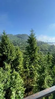 Карпатський затишок — фото 2