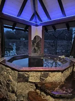 Чан "Гомін Карпат" — фото