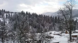 Бойківський Далевид — фото 3
