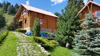 ТРОЄ ПОРОСЯТ ТУРИСТИЧНА БАЗА ВІДПОЧИНКУ ПП — фото