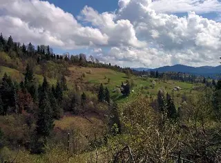 ТРОЄ ПОРОСЯТ ТУРИСТИЧНА БАЗА ВІДПОЧИНКУ ПП — фото 4