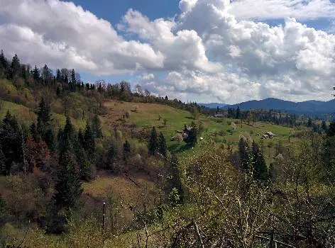 ТРОЄ ПОРОСЯТ ТУРИСТИЧНА БАЗА ВІДПОЧИНКУ ПП — фото 4