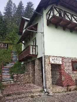 Карпатський Світанок — фото 2