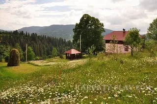 Cottage "Babusyn Dvir" — фото