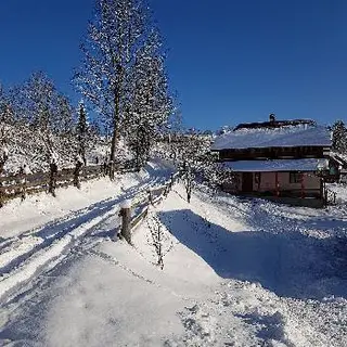 Cottage "Babusyn Dvir" — фото 5