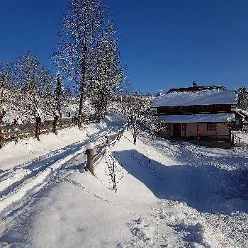 Cottage "Babusyn Dvir" — фото 5