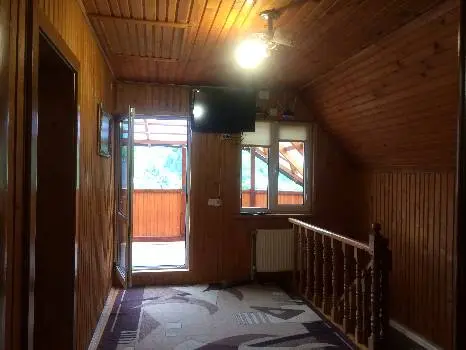 Котедж Загадка Карпат — фото 3