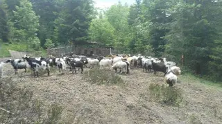 Котедж з чаном — фото 5