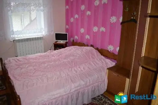 Приватна садиба Водолій — фото 4