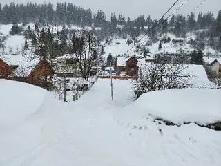 Катання на тюбах — фото