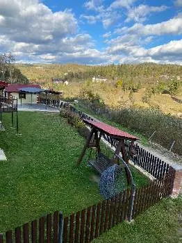 Карпатський будинок — фото 3