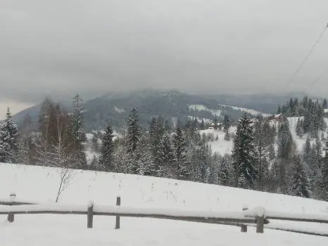 Садиба "Краса Карпат" — фото 4