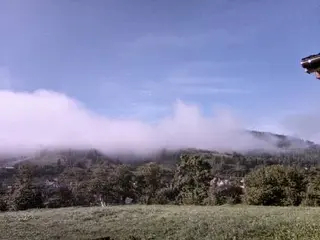 Садиба Артемів двір — фото 5