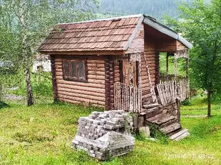 Гірська лілія — фото