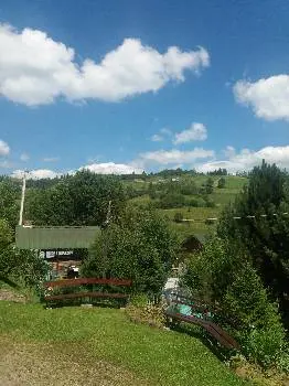 Гірська лілія — фото 3