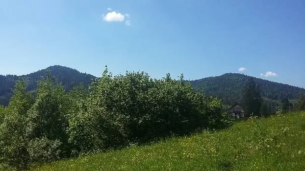 Гірська лілія — фото 4