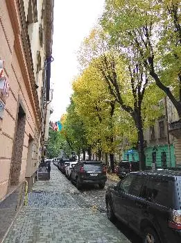 Мережа стоматологій Пародент — фото 4