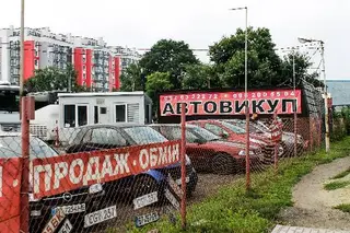Avtovykup Lviv — фото 5