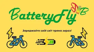 Batteryfly — фото 4