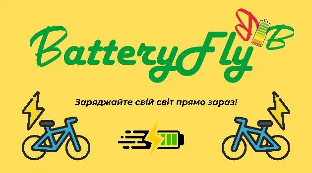 Batteryfly — фото 4