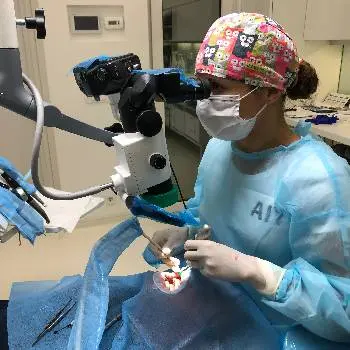 Стоматологія Др.Ірена Пшик-Тітко, к.мед.н. Dental private practice. Dr. Irena Pshyk-Titko PhD — фото 3