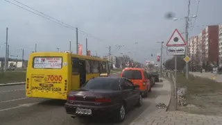 Зубра-центр, ТОВ — фото