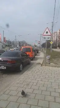 Зубра-центр, ТОВ — фото 3