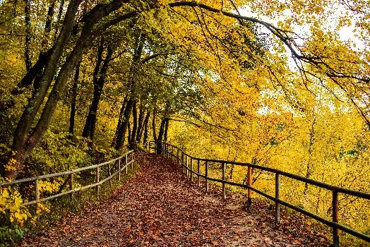 Регіональний ландшафтний парк "Знесіння" — фото 3