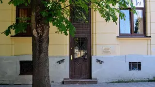 Стоматологія Камелія ( Camellia Dental Clinic ) — фото