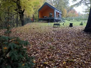 Лісовий будинок - сауна біля Львова — фото