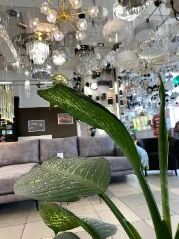 Deco Light точка видачі замовлень — фото 5