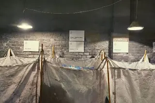 Зелена Коробка — фото 4