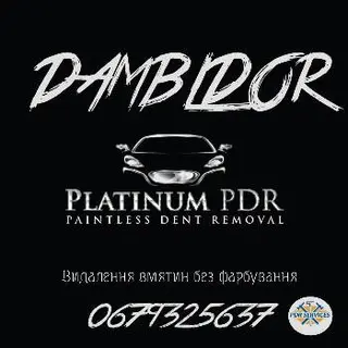 Dambldor- Видалення вмятин (усуваєм вм'ятини без фарбування) — фото 3