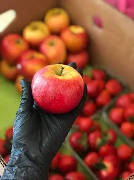 FruitON- доставка соковито смачних фруктів — фото 3