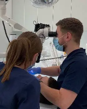 Стоматологія BIOCLINIC Зимна Вода — фото 3