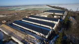 Сонячні панелі ТОВ "Системи Енергозбереження" — фото