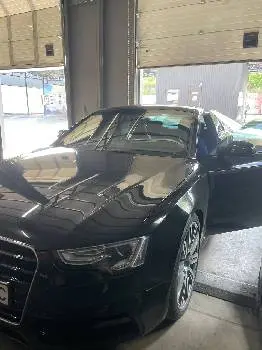 КАТАЛІЗАТОР видалити, Сажевий фільтр та Чіп Тюнінг "КАТА.НЕТ" — фото 2