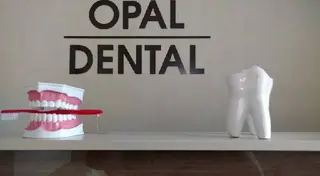 Opal Dental — фото 5