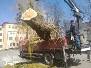 Свій Садівник - студія ландшафтного дизайну — фото 4
