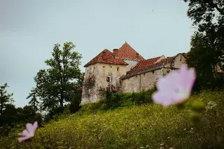 Свірзький замок — фото