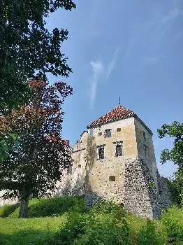 Свірзький замок — фото 4