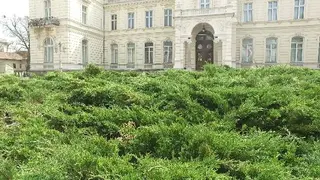 Палац Потоцьких — фото 2