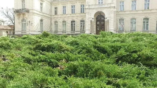 Палац Потоцьких — фото 2