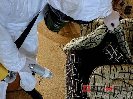 DezMan — фото 5
